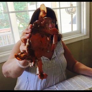 Meet your Posher, Peggy